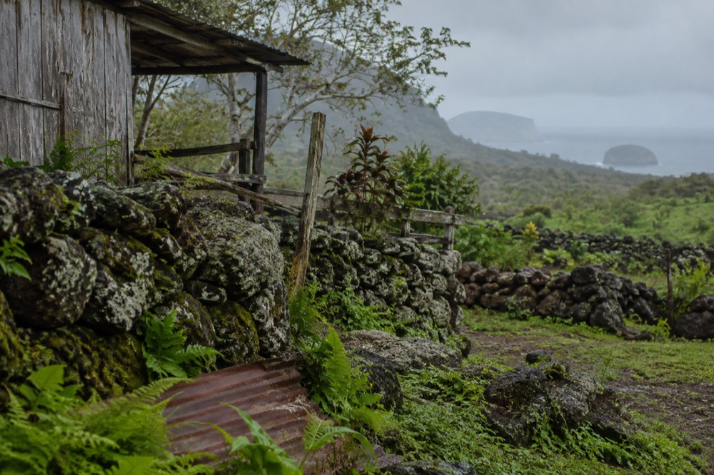 A rough lava-stone terrace and weathered timber remains of an old smallholding in the green highland humidity of Floreana, Galapagos, Ecuador