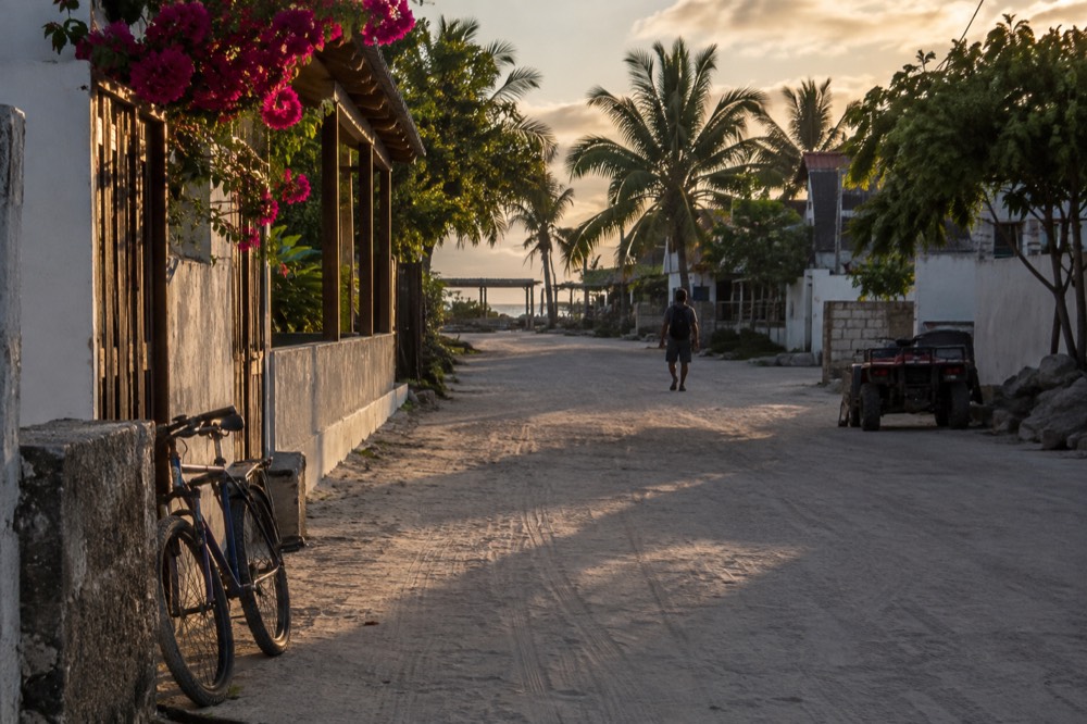 Early evening in Puerto Villamil, Galapagos Islands, one distant figure walking away under palms, warm low light