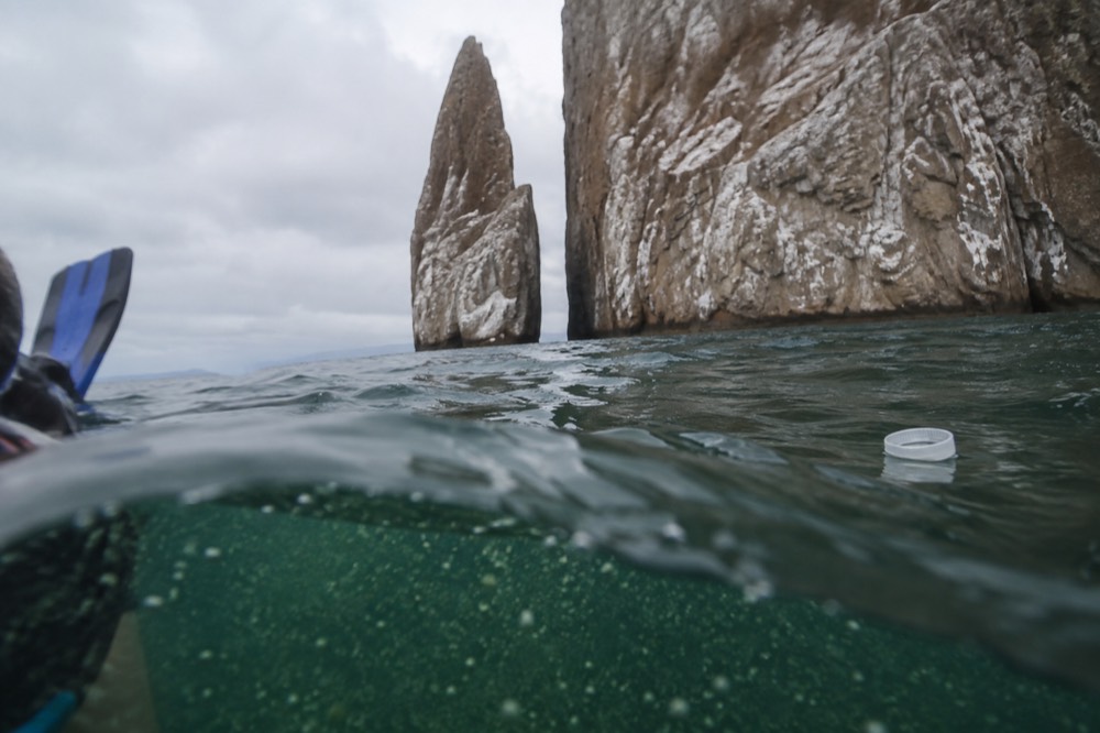 Green particle-heavy water close at the surface beside Kicker Rock, Galapagos Islands, Ecuador, cool-season overcast light