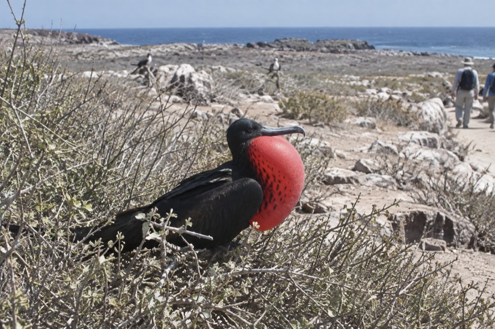 Dry-season midday in the Galapagos Islands