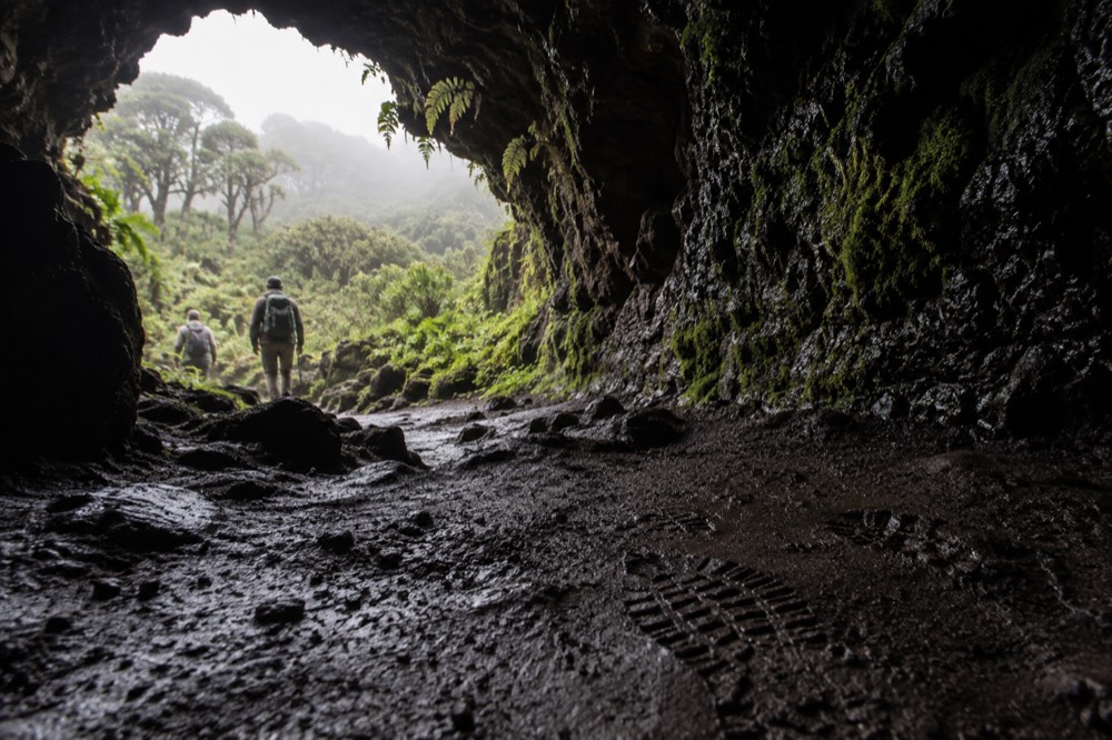 Inside a lava tunnel mouth near Los Gemelos in Ecuador's Galapagos highlands, low camera angle on worn volcanic floor and dripping mossy walls