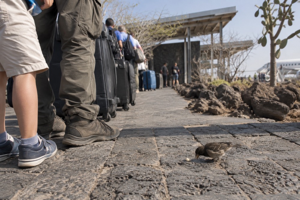 A child's small shoes and a parent's worn boots on the low volcanic-stone pavement outside Seymour Airport, Baltra Island, Galapagos Islands, Ecuador