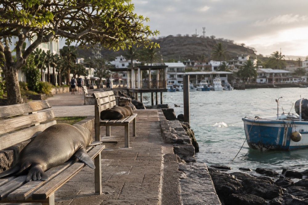 On the malecon of Puerto Baquerizo Moreno in the Galapagos Islands, Ecuador