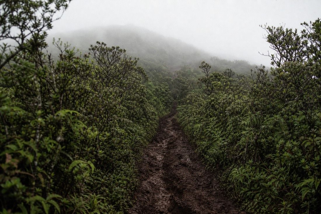 Sierra Negra Hike, Pickup Included